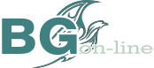 Logotipo BG online Serviços Ltda